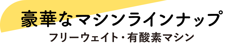 豊富なラインナップ